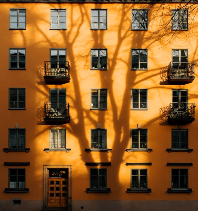 Vier Koningsdag in stijl!